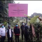 Kejagung Makin Galak Pada Pelaku Korupsi