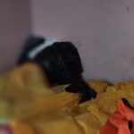 Polsek TBS Mengantongi Nama Pembunuh Karyawan RSUD