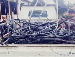 Terpaksa Curi Kabel Lantaran Tak Pernah Terima Gaji Dari Pemkab Pesisir Barat