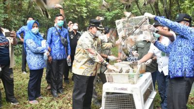 Azwar Melepas Satwa Liar di Taman Nasional Way Kambas