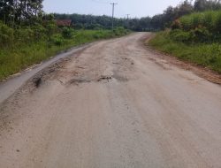 Proyek Dikritik TEC Sudah Dilaporkan Ke Kejati Lampung