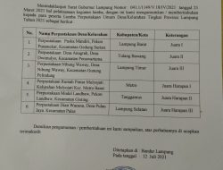 Lampung Barat Juara 1 Literasi Tingkat Provinsi