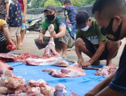 Kodim 0429 Lampung Timur Sembelih Hewan Kurban