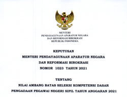 Kementerian PANRB Tetapkan Nilai Ambang Batas SKD
