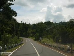Pemerintah Percepat Infrastruktur Papua dan Papua Barat