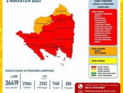 Bappeda Ungkap Peta Sebaran Covid-19 Di Lampung