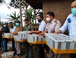 Balai Karantina Lepas Liarkan Satwa dan Pelakunya