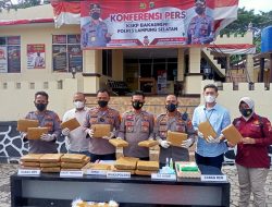 KSKP Bakauheni Amankan 28 Kg Ganja Kering Asal Aceh