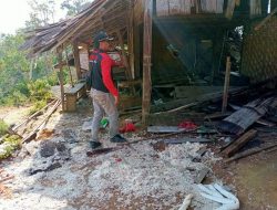 Kader PDIP Jago Halau Serangan Gajah Liar