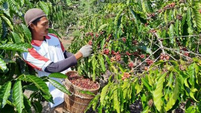 Kirka.co