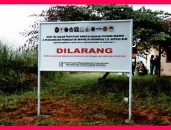 Aset Jaminan PT Timor Putera Nasional Disita