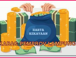 Kekayaan Para Kabag di Lingkar Arinal Djunaidi