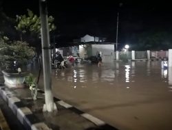 WALHI: Banjir Berkaitan dengan Pembangunan Living Plaza