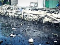 Pesisir Lampung Kembali Tercemar Limbah Hitam Seperti Minyak