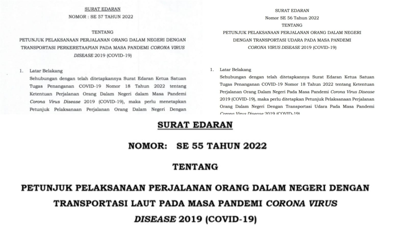 Menhub Terbitkan Juklak Perjalanan Orang dalam Negeri