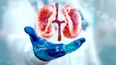 Zubairi Djoerban Ungkap Pengaruh Obat-obatan Terhadap Ginjal
