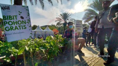 Walhi Lampung Berbagi Bibit Pohon Gratis di Hari Lingkungan Hidup Sedunia