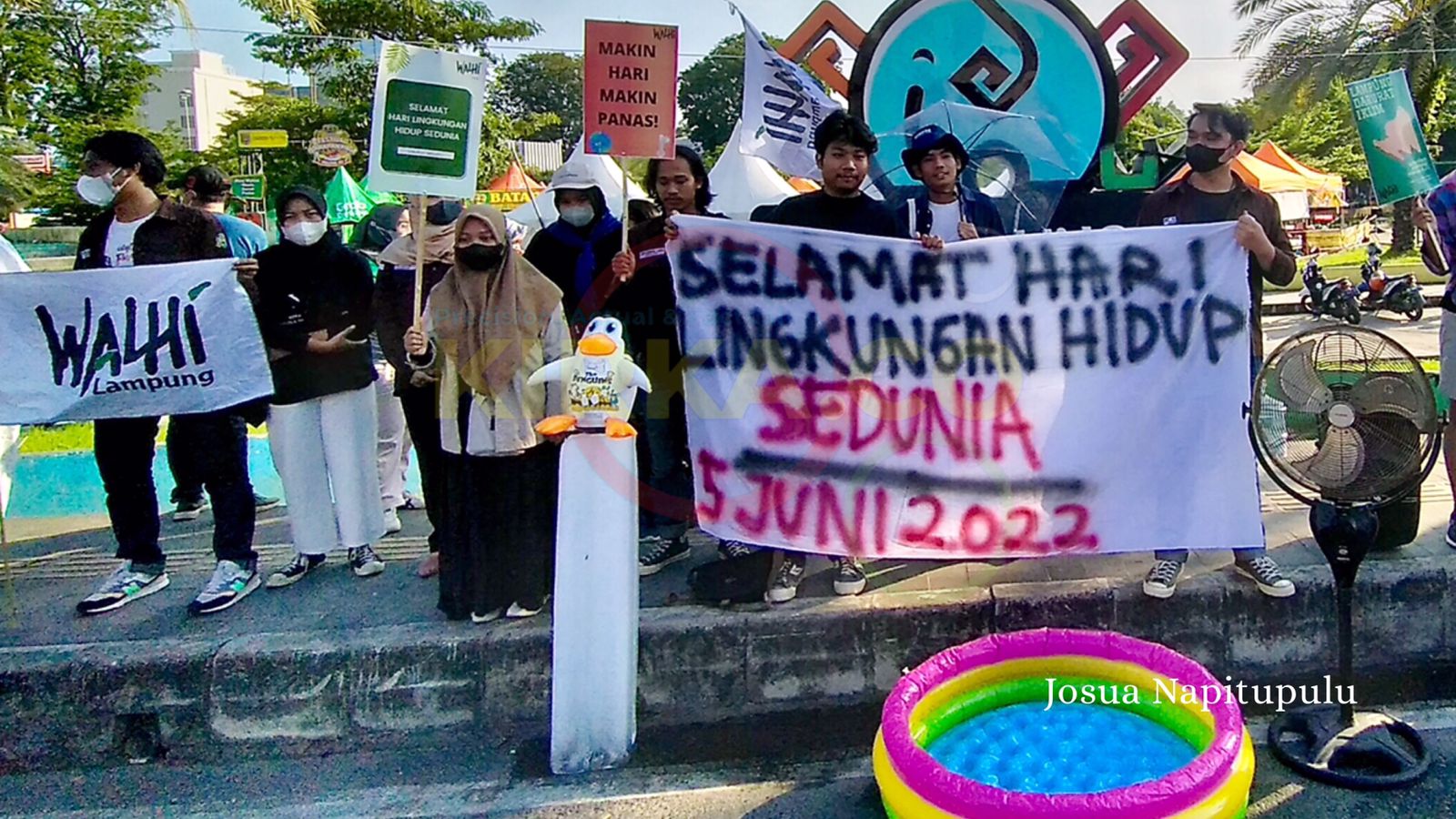 Walhi Lampung Berbagi Bibit Pohon Gratis di Hari Lingkungan Hidup Sedunia