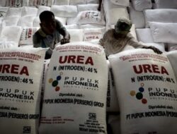 Dugaan Mafia Pupuk Pringsewu Masuk Tahap Penyidikan Umum