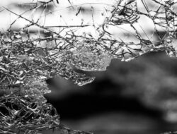 Polisi Berhasil Usut Kasus Pelemparan Bus di Tol Lampung