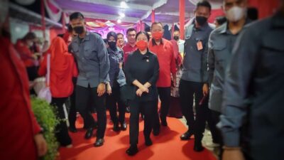 Pencapresan Puan Maharani Tidak Mendongkrak Suara PDIP