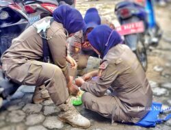 Reinventing Government Lewat Alih Status Honorer Jadi PPPK dan Outsourcing