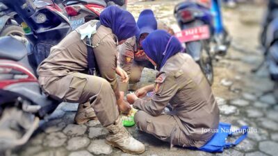 Reinventing Government Lewat Alih Status Honorer Jadi PPPK dan Outsourcing