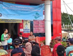 Mangrove Kotakarang Bandar Lampung Miliki Potensi Ekonomi