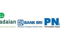 Holding Ultra Mikro Targetkan 45 Juta Nasabah