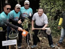 Kejati Lampung Tanam Mangrove Usaha Cegah Abrasi