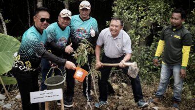 Kejati Lampung Tanam Mangrove Usaha Cegah Abrasi