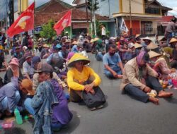 Sewa Tanah Kota Baru Tuai Polemik