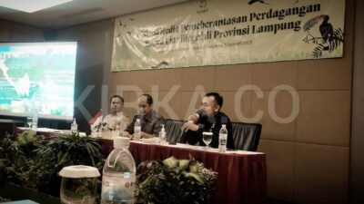 Lampung Tertinggi Dalam Peredaran Satwa Liar Ilegal