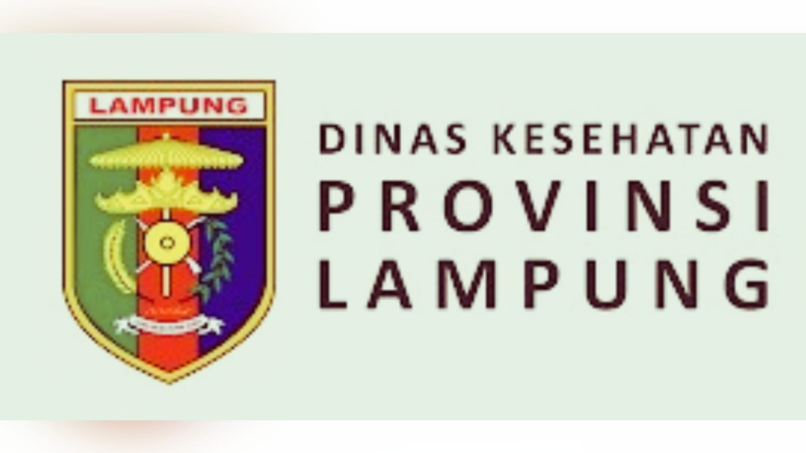 Audit Investigatif Dalam Perkara Korupsi Dinkes Lampung Dikabarkan Segera Rampung