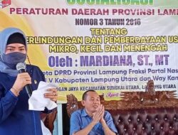 Disebut Mangkir Dari Panggilan Jaksa KPK, Anggota DPRD Lampung Mardiana Angkat Bicara