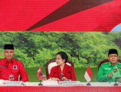 PDIP dan PPP Kerja Sama Politik Presidensial