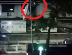 Viral Video Randis Pemkot Bandar Lampung Dipakai Pasang Bendera Parpol