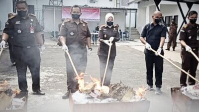 Kejari Lampung Selatan Musnahkan 14 Kg Ganja