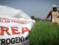 Terdakwa Penyelewengan Pupuk Subsidi Lampung Timur Divonis Pidana Bersyarat
