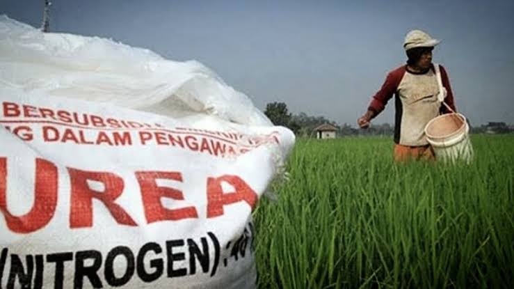 Terdakwa Penyelewengan Pupuk Subsidi Lampung Timur Divonis Pidana Bersyarat