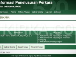 Ketua PDIP Pringsewu Digugat ke Pengadilan
