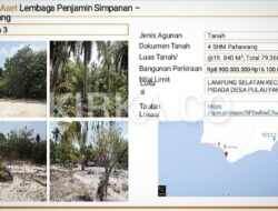 4 SHM Pahawang Segera Dilelang LPS