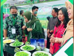 Menko Perekonomian Apresiasi Produk Edamame PT Mitratani Dua Tujuh