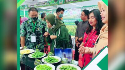 Produk Edamame PT Mitratani Dua Tujuh