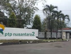 PTPN II Rampung Bayar Medali Jubelium Karyawannya