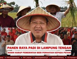 Sudin Jadi Saksi di Kasus Korupsi SYL