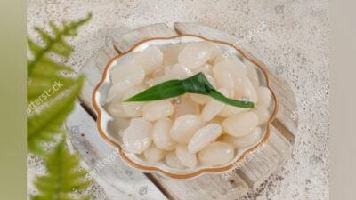 Manfaat Kolang Kaling