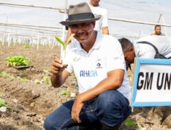 Dwi Aprilla Sandi: Mari Jaga Kebun Tembakau Terbaik Dunia