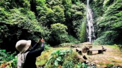 Dongkrak PAD, Dishut Lampung-PT LJU Kolaborasi Garap Cuan Tahura