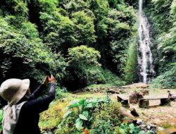 Dongkrak PAD, Dishut Lampung-PT LJU Kolaborasi Garap Cuan Tahura